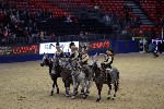 Quadrille - 00880
